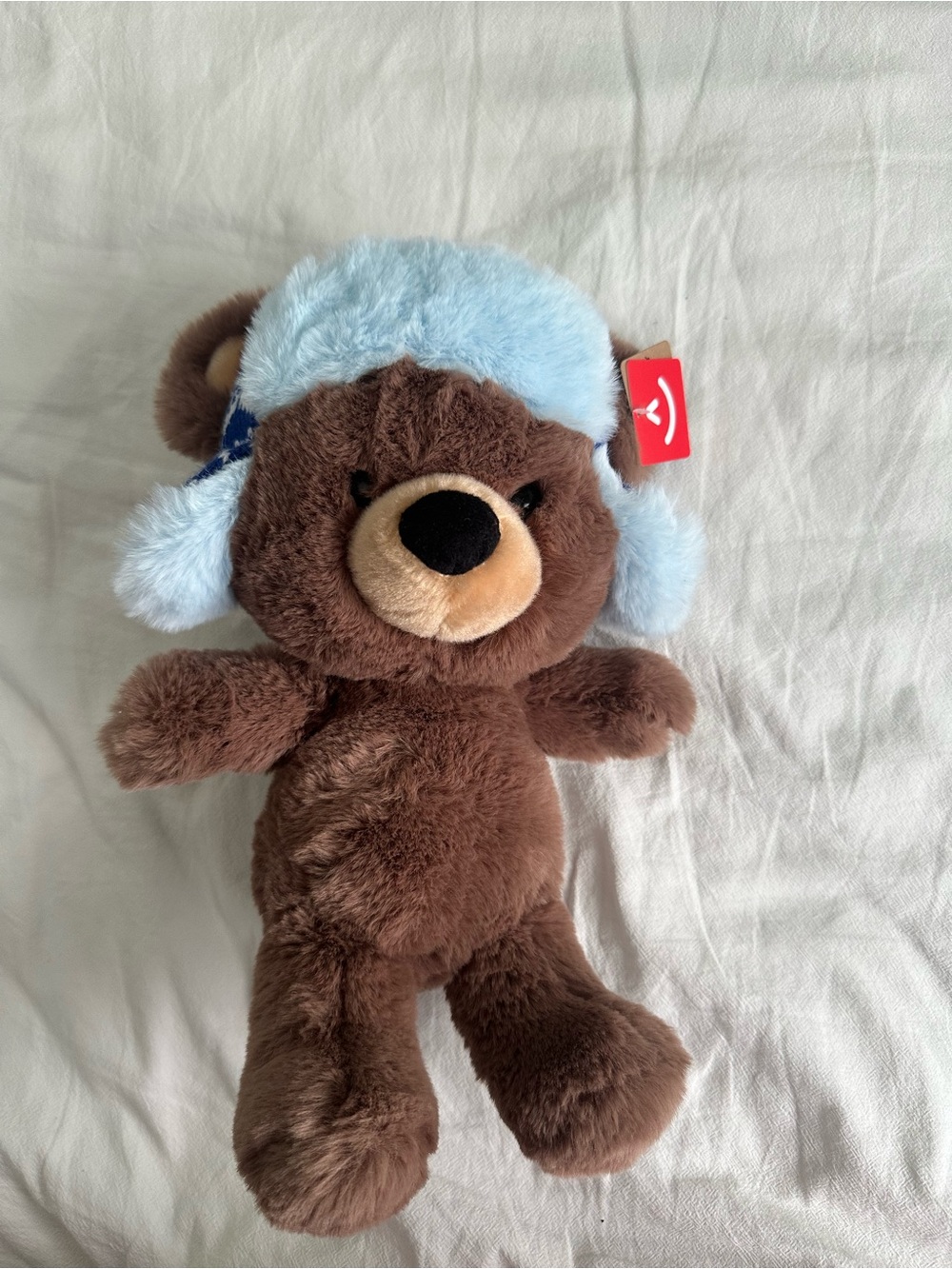 Cuddly Brown Teddy Bear with Light Blue Fuzzy Hat - Kids Plush